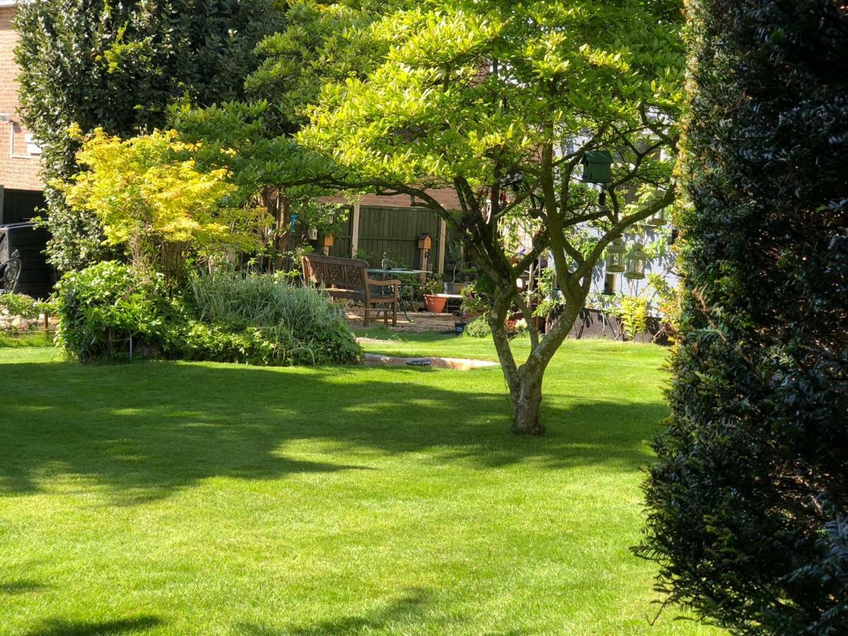 The Elms Guest House Bristol 菲尔顿 外观 照片