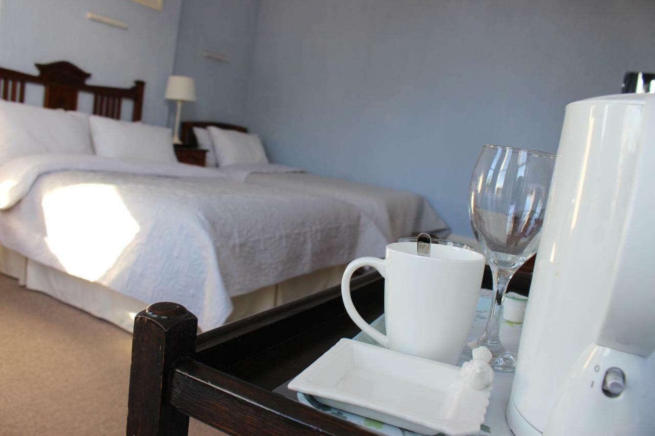 The Elms Guest House Bristol 菲尔顿 外观 照片